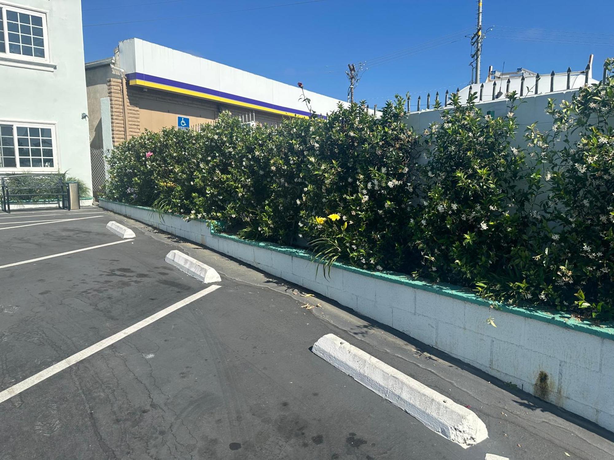 ホテル Super 8 By Wyndham Oceanside Downtown エクステリア 写真